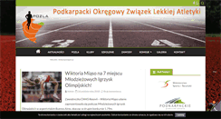 Desktop Screenshot of pozla.pl